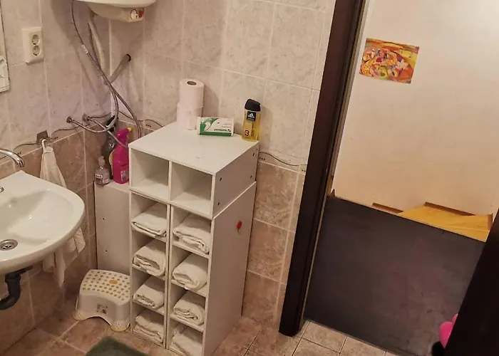 къща за гости Satori Bor,