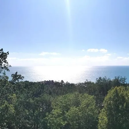Bor, Varna