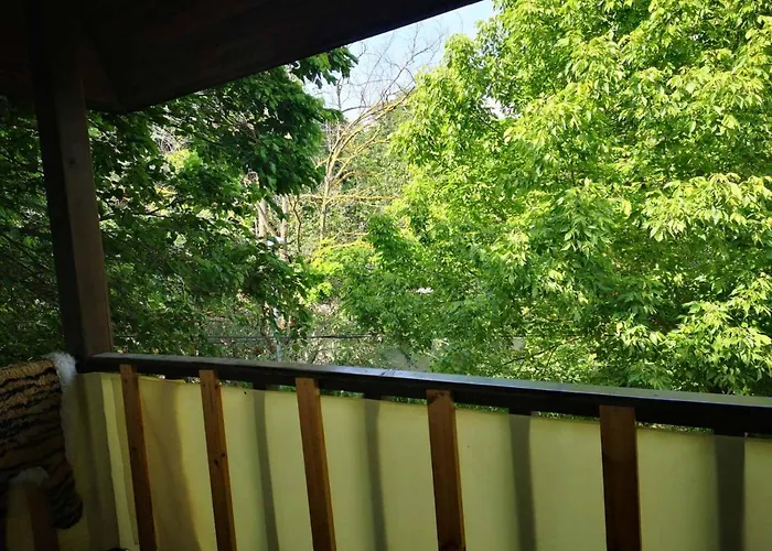 къща за гости Bor, Maison d'hôtes *