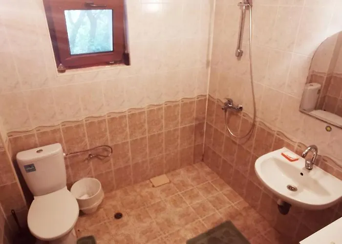 Maison d'hôtes къща за гости Bor,